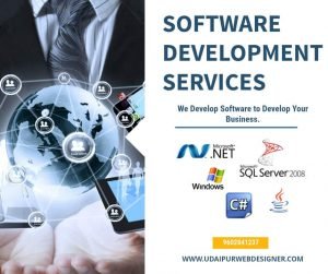 Software Development Company Software Developer in Udaipur.